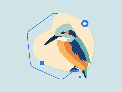 Colorful bird bird colors design flat graphic design illustration vector