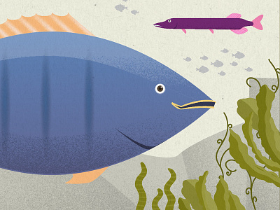 Fish animation fish illustration ocean sea social