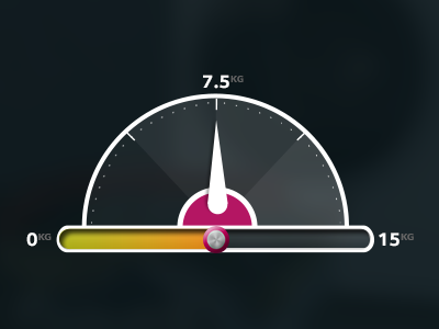 Weight Slider scale slider ui weight