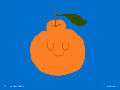 100 Day Project — Day 17 100dayproject artist editorialillustration foodart foodillustration foodillustrator fruitillustration illustration illustrator sumoorange