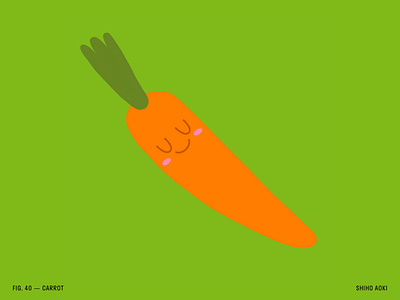 100 Day Project — Day 40 100dayproject carrot editorialillustration foodart foodillustration foodillustrator illustration illustrator licensingartist vegetables