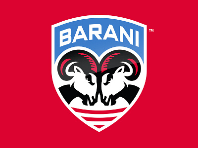 Barani Youth Hockey Academy