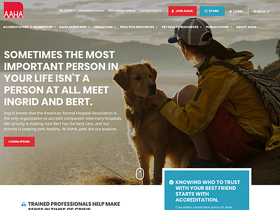 American Animal Hospital Association creative direction web design