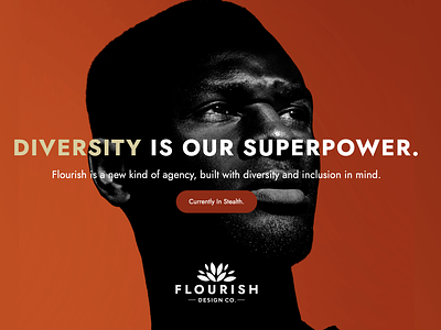 Diversity is our Superpower. brand identity