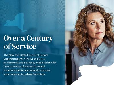 New York School of School Superintendents stylescape web design