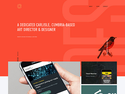 csharp design layout portfolio web design website