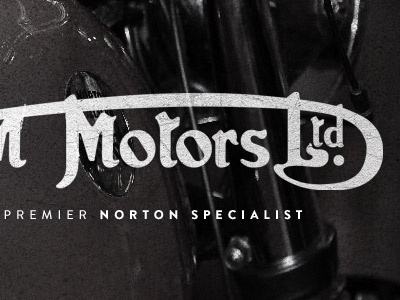 Motors Ltd logo logotype texture type