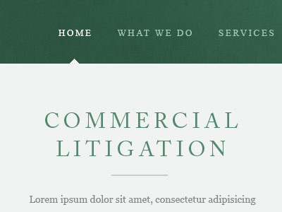 Commercial Litigation adobe caslon clean green grey type