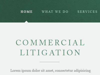 Commercial Litigation