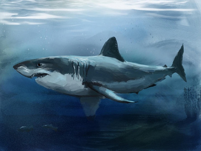 Shark! digital painting illustration shark