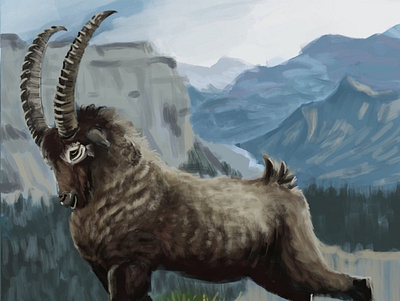 Ibex animal digital painting goat ibex illustration mountain