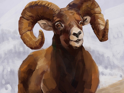 Ram animal digital painting illustration ram