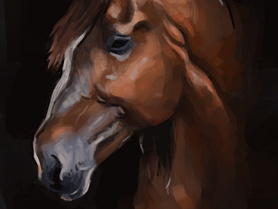 Horse animal black background digital painting dramatic horse illustration profile