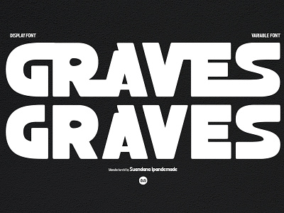 Graves - Display Sans Family vintage font