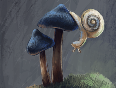 Mushrooms adobephotoshop digitalart digitalpainting illustration illustration art illustrator mushroomart mushrooms