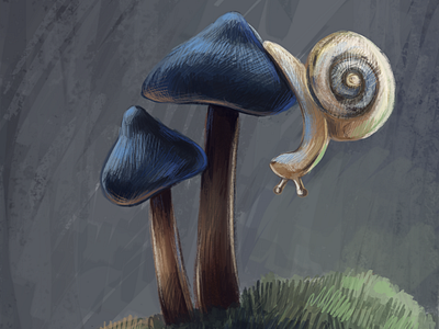 Mushrooms adobephotoshop digitalart digitalpainting illustration illustration art illustrator mushroomart mushrooms