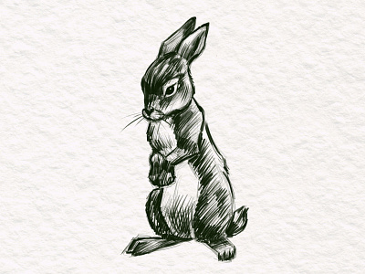 Rabbit Sketch adobephotoshop animal animalart animaldrawing digitalpainting digitalsketch illustration rabbit rabbitsketch sketch