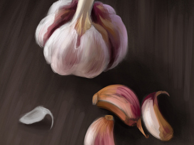 Garlic - quick study adobephotoshop digitalart digitalartist digitalpainting garlic illustration painting practice study