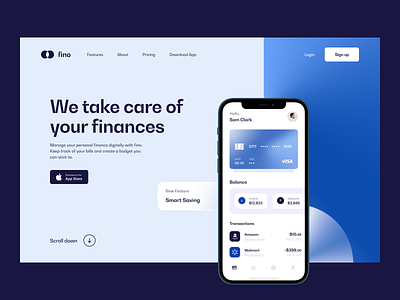 Digital Personal Finance: Home Page