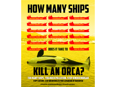 How Many Ships? Orca... campaign design environmental illustration