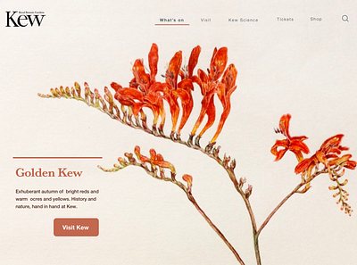 Kew Gardens Landing page - Autumn 003 botanical challenge dailyui dailyui 003 dailyuichallenge design illustration landing page ui web design