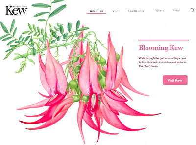 Kew Gardens landing page - Spring 003 botanical challenge dailyui dailyuichallenge illustration landing page ui