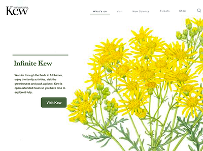 Kew Gardens Landing Page 003 challenge dailyui dailyuichallenge illustration landing page ui web design