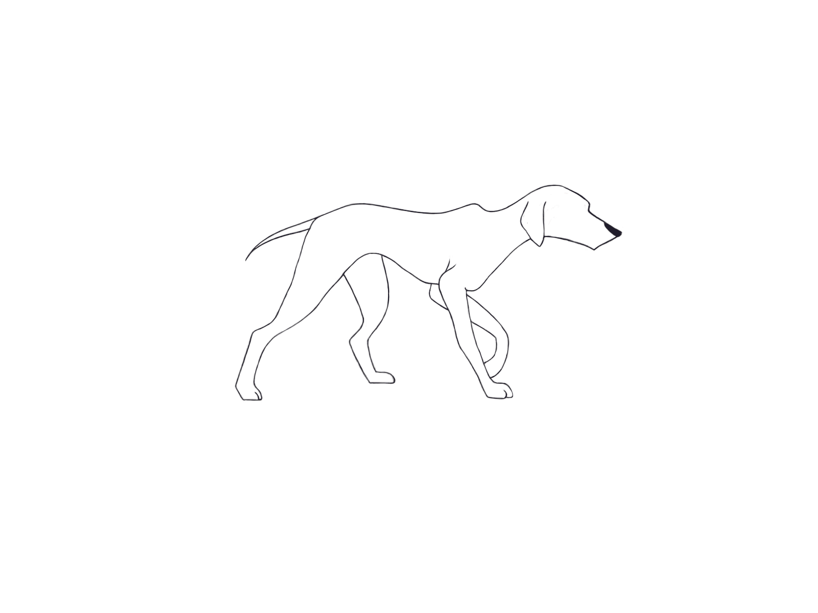 Hand drawn dog animation doganimation