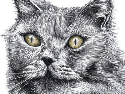 kitty be fury cat fur ink pen water colour