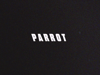 Party Parrot 2d after effects animation black and white design motion party typography