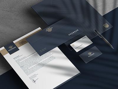 Pegasus architects business collateral brandidentity branding business card business collateral envelope identity letterhead logo logodesign logotype mark print stationery symbol wordmark