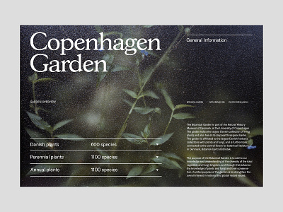 Copenhagen Garden — Main Page art direction branding design grid layout minimal typography ux web