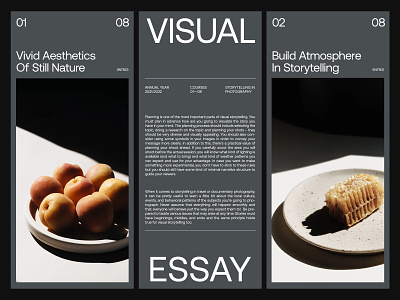 Visual Essay — Layouts art direction layout minimal typography ui ux web website