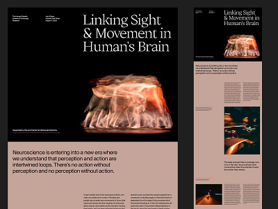 Science Article – Layout art direction design grid layout minimal photography typography ux web website