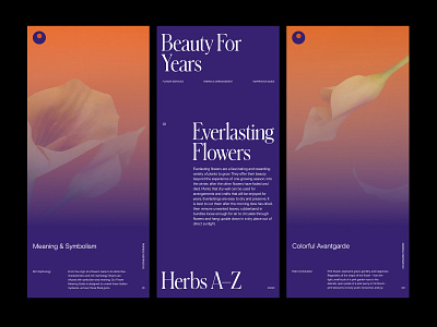 Flower Guide – Cards art direction branding grid layout minimal studio typography ux web website