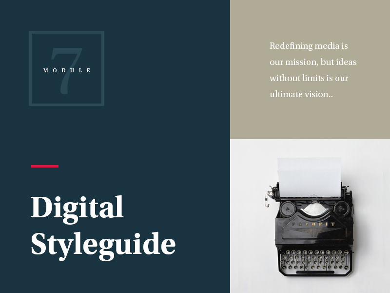 Digital Styleguide colors digital filter layout photography styleguide typography web