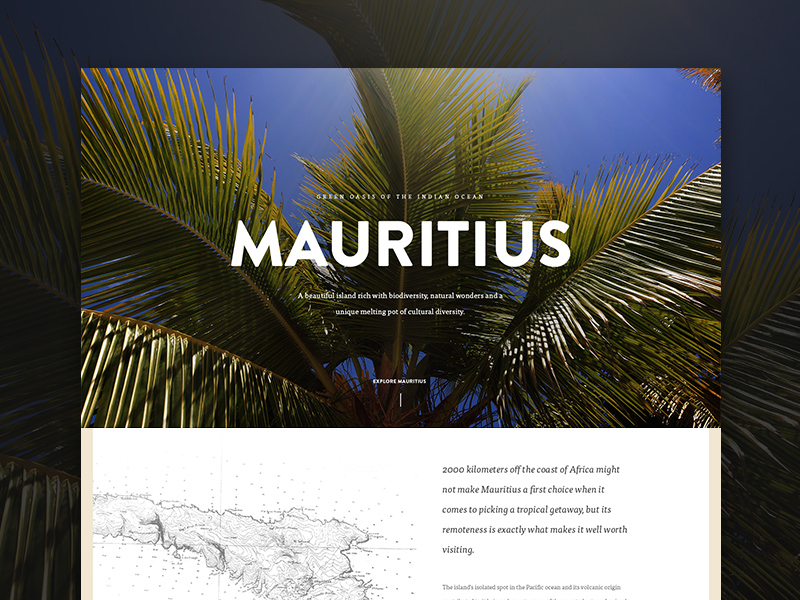 Travel Guide layout minimal travel tropic typography ui ux web