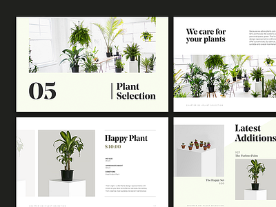 Plants — Keynote Template agency keynote layout minimal presentation template typography ui