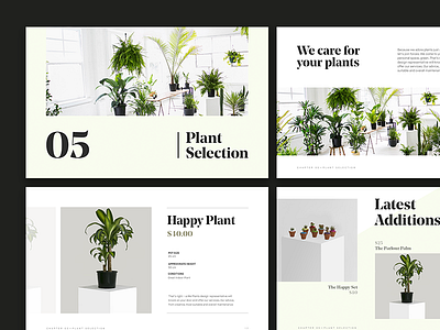 Plants — Keynote Template