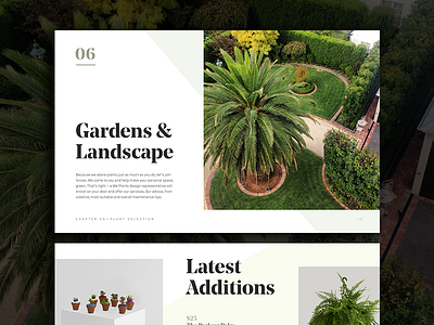 Plants Slide — Keynote Template agency keynote layout minimal presentation template typography ui