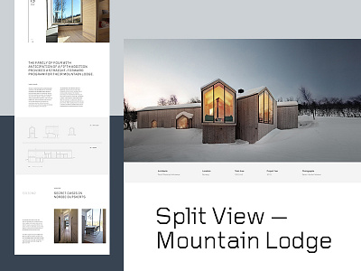 Nordic Cabin — Website architecture blog grid layout magazine type typography