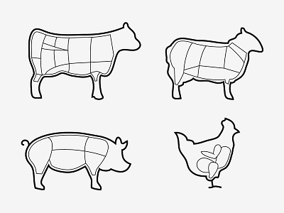 Know Your Meat beef chicken infographic lamb meat pork vector