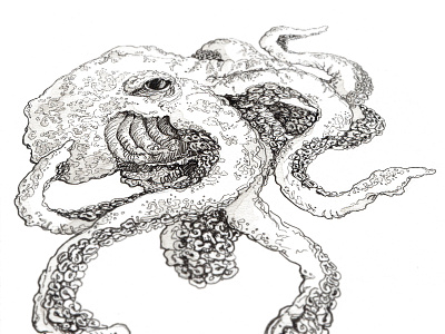 Octopus drawing illustration ink ocean octopus pen sea