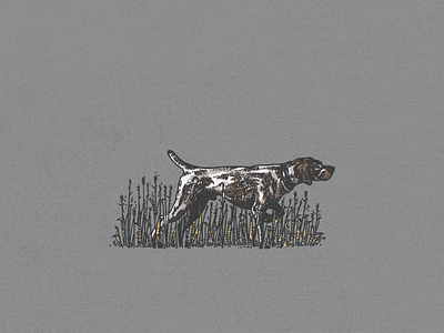 Point and Shoot dog extra illustration pointer vector