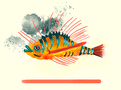 Fish adobe character design doodle fish illustration ocean vector