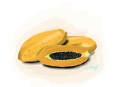 Papaya drawing fruit fruit illustration illustration illustration art illustration design papaya