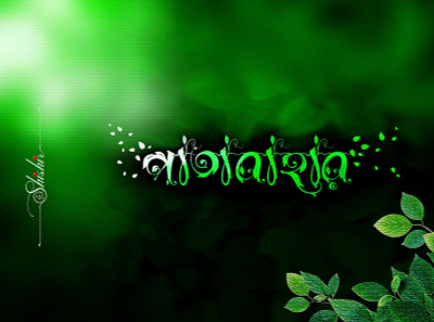 Bangla Typography bangla font bangla typeface design font design logo design typeface design typography