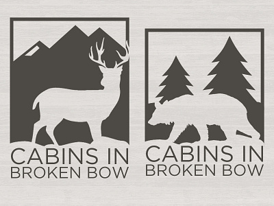 Cabins In Broken Bow Branding Variations