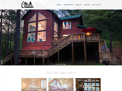 CIBB Website Design
