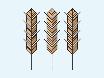 Wheat Study 2d barley beer grain graphic design icon wheat